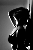 Sensuals_12